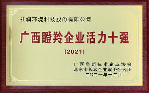 2021年廣西瞪羚企業(yè)活力10強